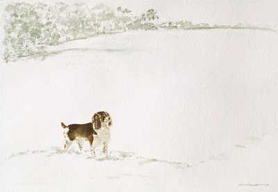 Springer Spaniel in the Snow by Suzi Kennett